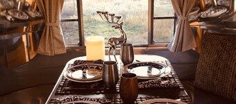 SILVER FOX ~ Airstream in Apple-Orchard ~15 minutes from Downtown Durango