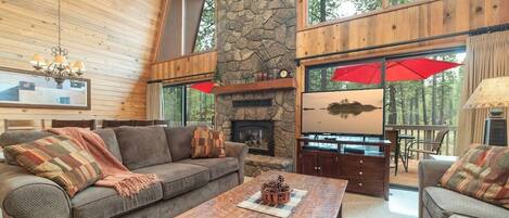Smart TV, fireplace, video game console, DVD player