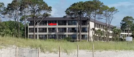 A multi-story building with a flat roof, surrounded by tall trees and a sandy beach.