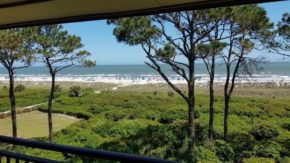On the beach, sun loungers, beach towels