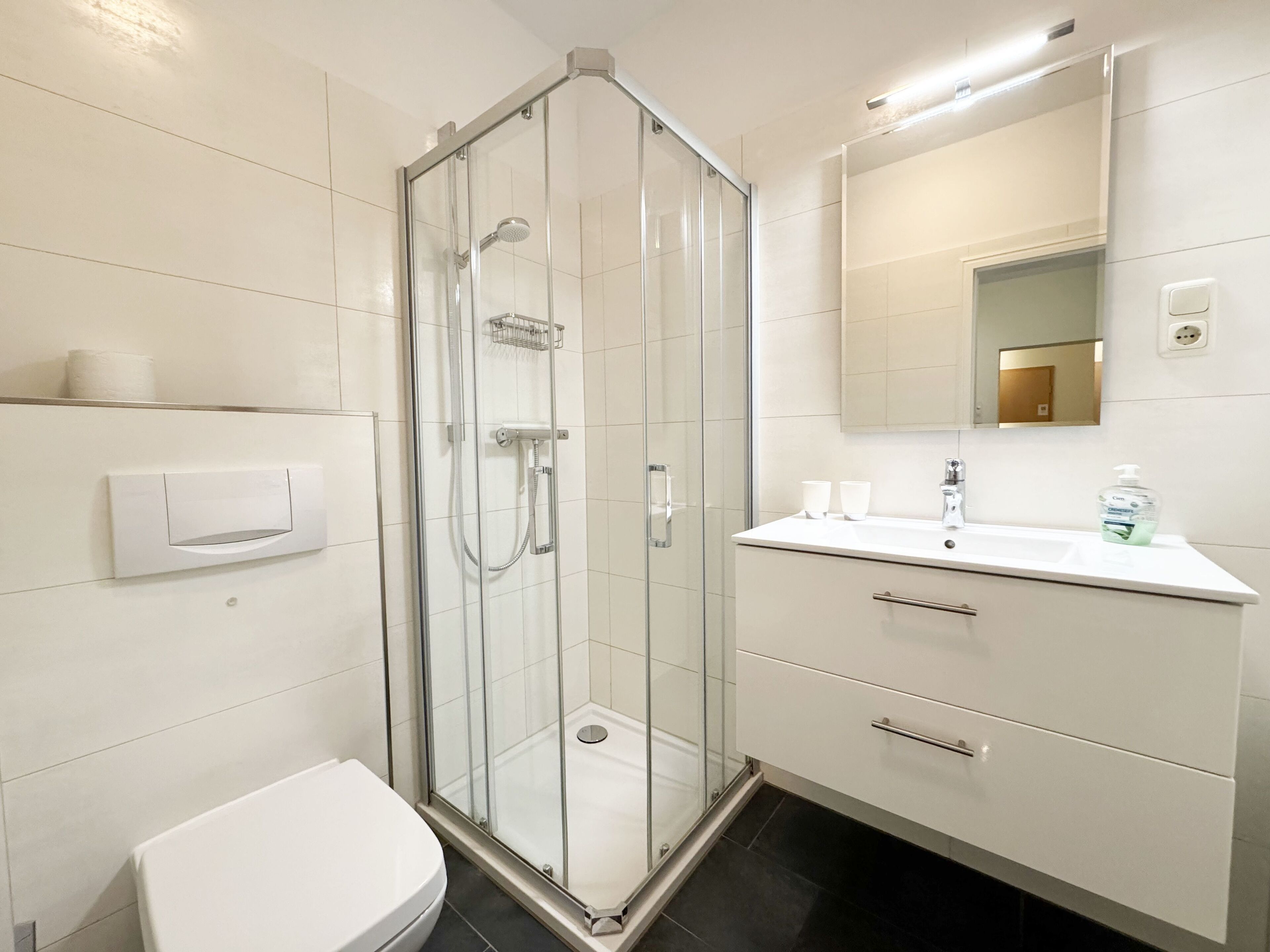 Ein modernes Badezimmer mit einer Duschkabine aus Glas, einer weißen Toilette und einem Waschtisch mit Spiegel und Waschbecken.