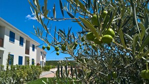 Apartment, Garden View (6) | Exterior detail - Wabi Sabi Resort & Apartments (Krk)