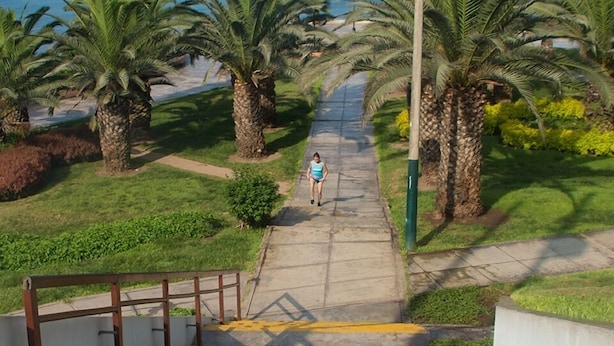 Una escalera que lleva a una playa con palmeras y una vista despejada del océano.