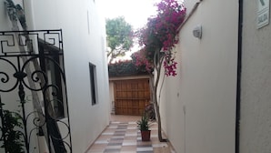Un estrecho callejón con suelo de baldosas, plantas en macetas y una reja.