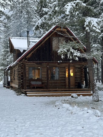 Exterior. A Log Cabin in the Woods