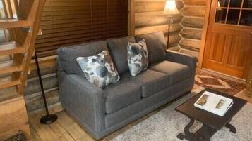 Smart TV, fireplace, DVD player, books