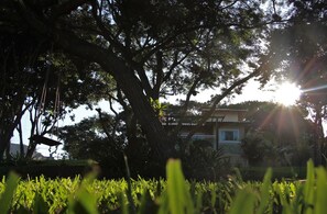 Área da propriedade