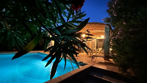 A swimming pool with a stone border, surrounded by lush greenery and a building with a thatched roof in the background.