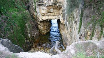 A narrow canyon with a stream flowing through it.
