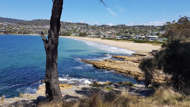 Un paysage côtier avec une plage, une côte rocheuse et un arbre au premier plan.