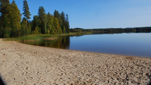 Un lac paisible, avec une plage de sable et une forêt dense en arrière-plan.