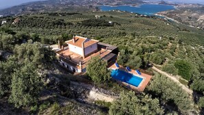 A villa with a swimming pool, surrounded by olive groves and overlooking a coastal area.