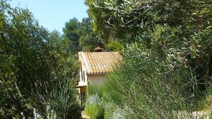 A narrow dirt path leading to a building with a tiled roof, surrounded by dense vegetation and wildflowers.