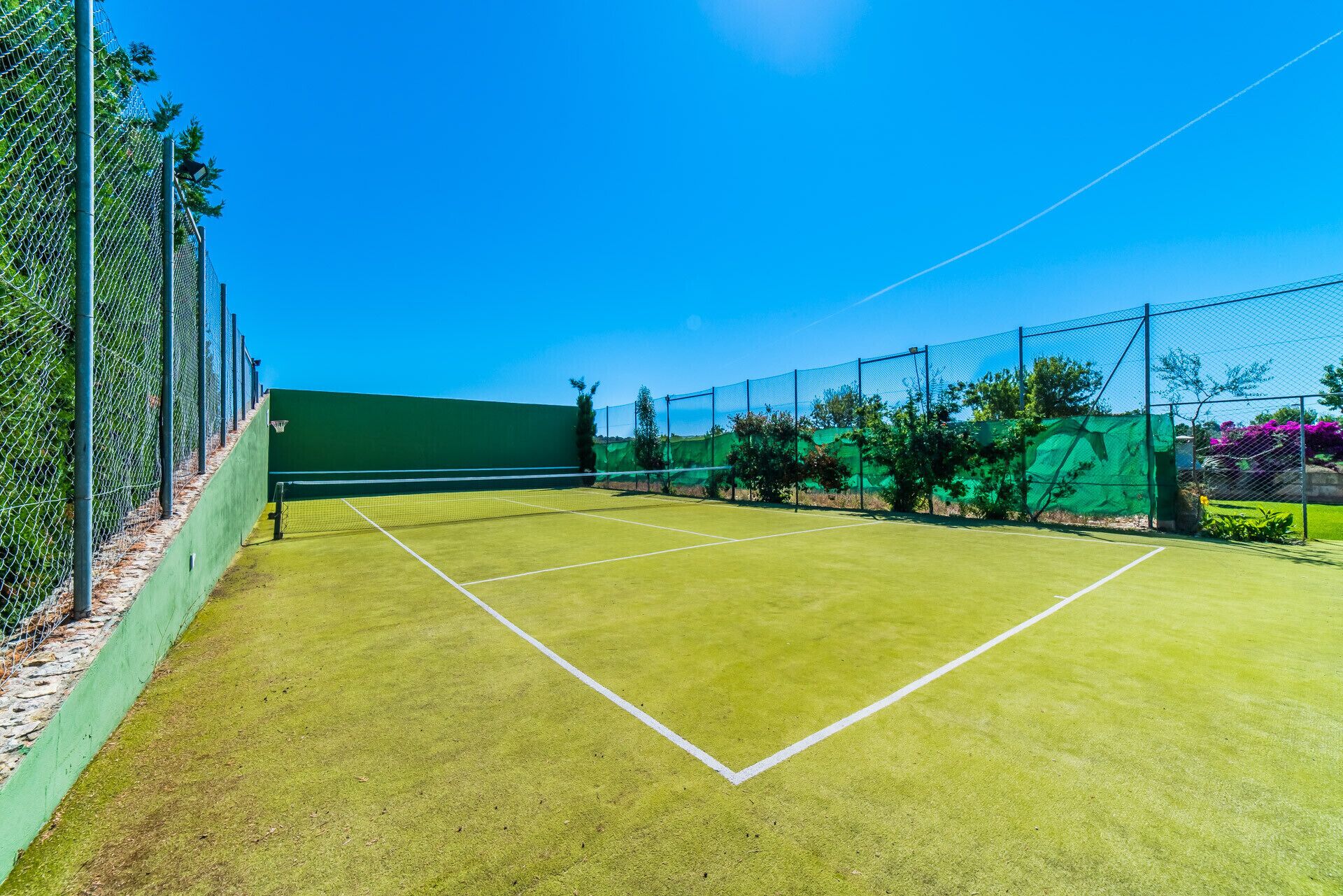 Ein Tennisplatz mit grüner Belag, umgeben von einem Maschendrahtzaun und einer grünen Mauer.
