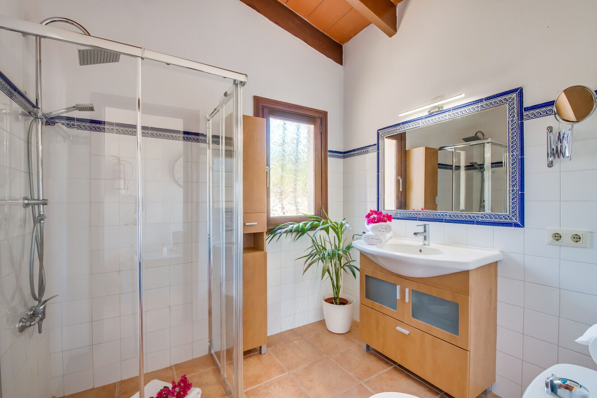 Une salle de bain avec une douche à parois de verre, un lavabo avec un miroir et une plante en pot.