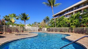 A swimming pool with a curved design, surrounded by palm trees and lounge chairs.