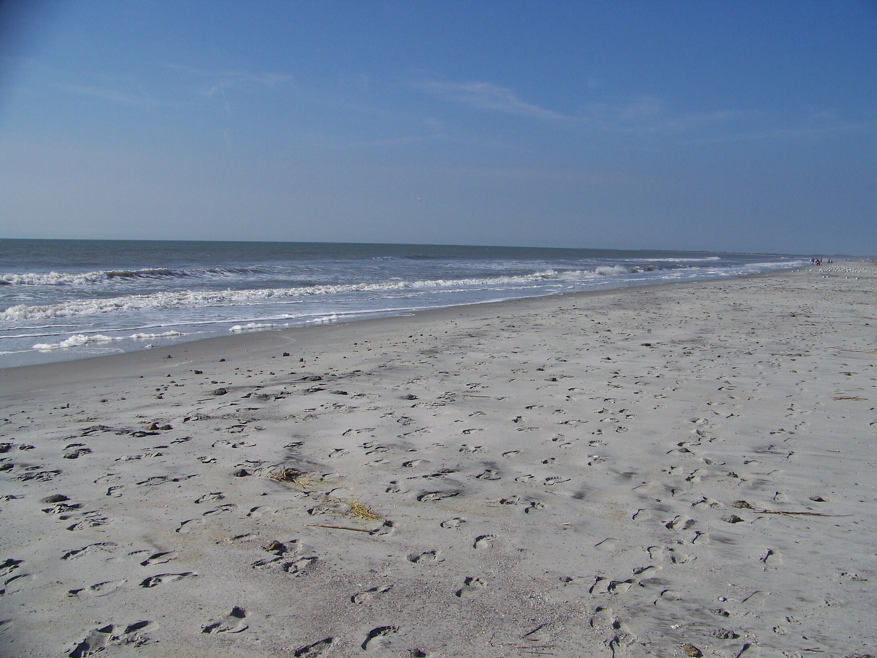 Beach nearby, sun loungers