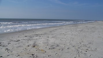 Beach nearby, sun-loungers