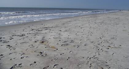 Second Row Folly Beach; Two living rooms ; Great Reviews