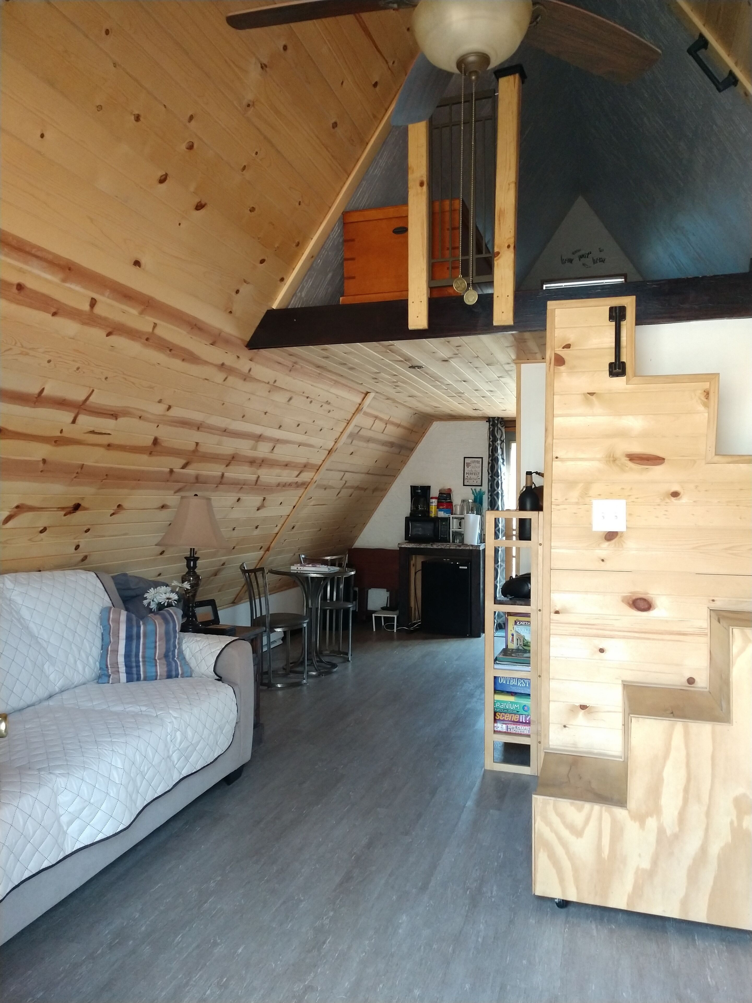 Smart TV, chimenea, reproductor de DVD y libros 