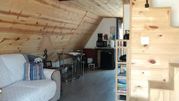 TV connectée, cheminée, lecteur de DVD, livres