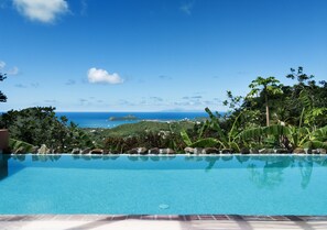 A clear blue pool with a view of the ocean and hills in the background. - Black Pearl Estate (Gros Islet)