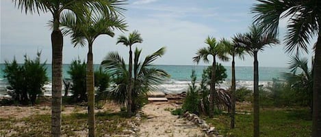 Camastros y toallas de playa
