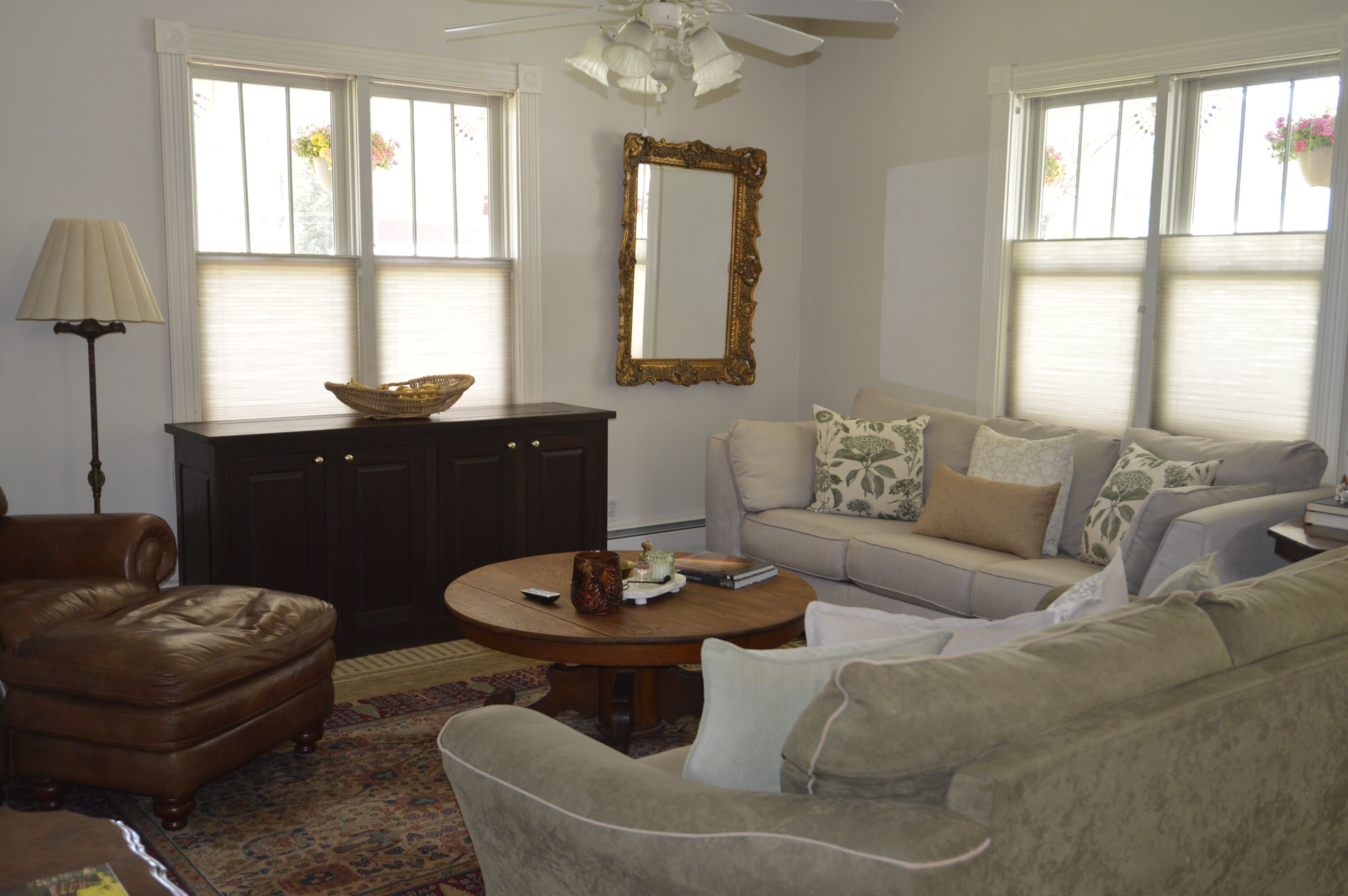 Smart TV, Netflix, DVD player, streaming services