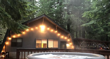 Unique Mt. Rainier Cabin - Private Hot Tub - Wood Stove - Snowshoes 