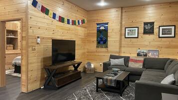 Smart TV, chimenea, reproductor de DVD y libros