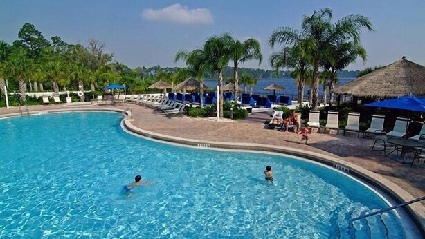 Una piscina con lettini e ombrelloni, circondata da palme e vista sul mare.