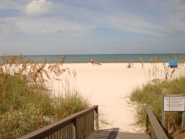 Plage, chaises longues