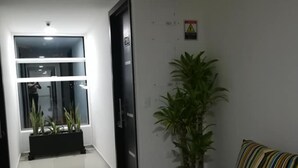 Un pasillo con un sofá y una planta en maceta.