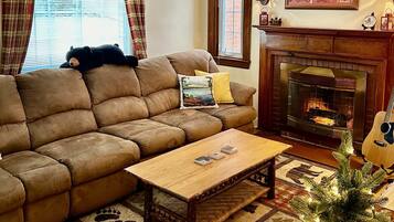 Smart TV, fireplace, Netflix, books