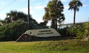 Explore the natural beauty of Canaveral National Seashore, surrounded by lush greenery and palm trees.