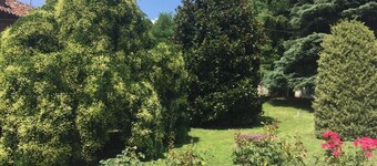 Casa Serena - Unique Retro/Classic Villa in Wine Country near Milan Terrace View