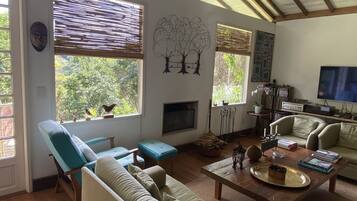 TV, fireplace, DVD player, music library