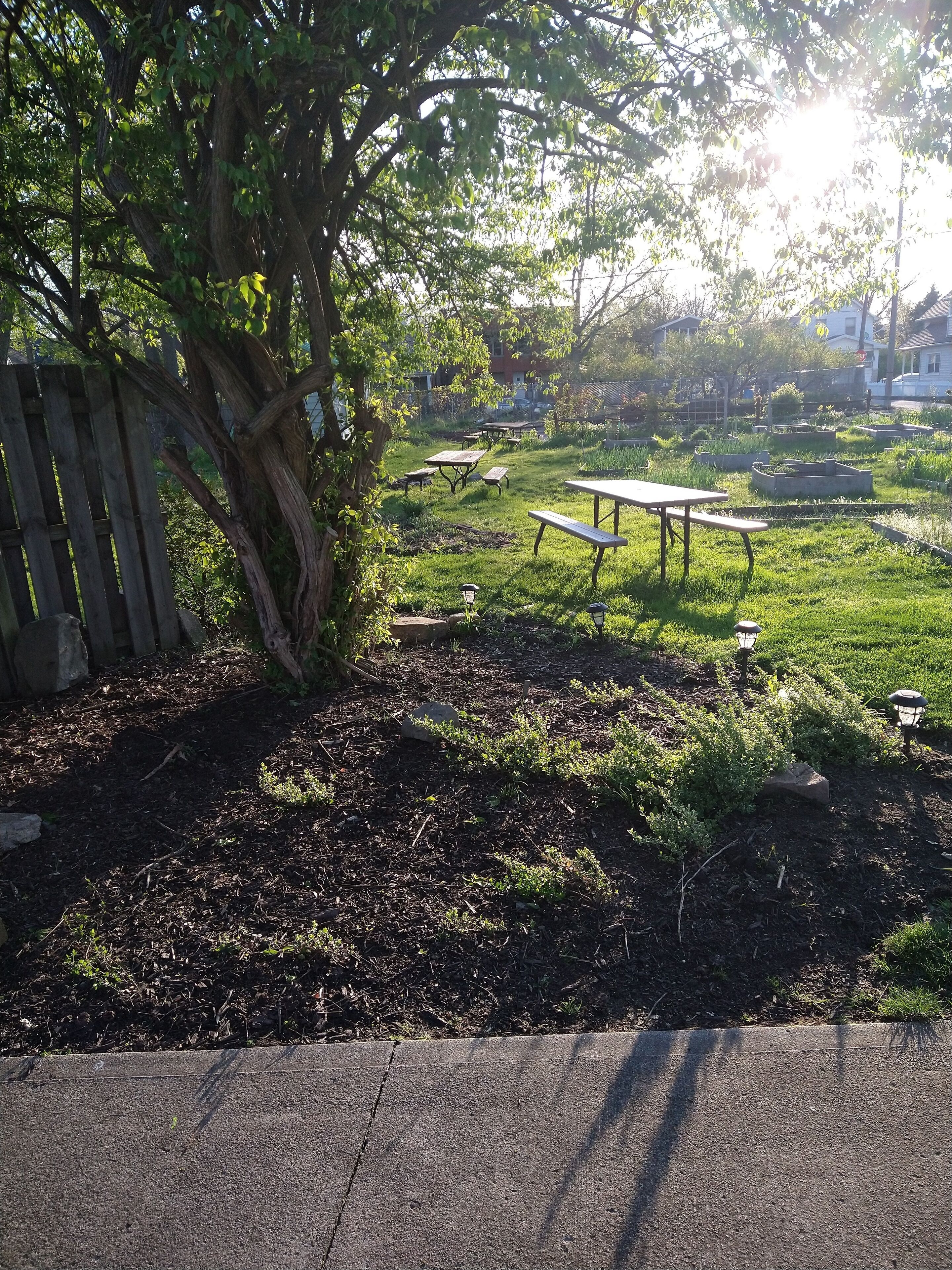 A park with picnic tables and a wooden fence.