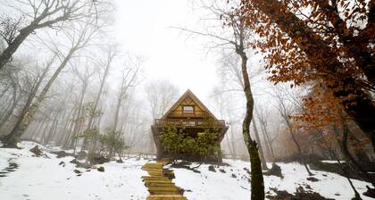 Unohtumattomat unet Beech Mountain Cabin