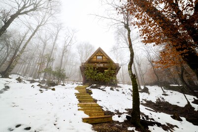 Unforgettable dreams at Beech Mountain Cabin