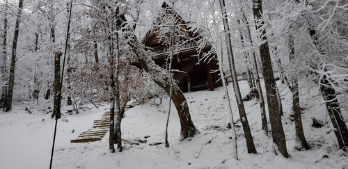 Unforgettable dreams at Beech Mountain Cabin