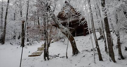 Unforgettable dreams at Beech Mountain Cabin