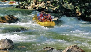 Pool - Unforgettable dreams at Beech Mountain Cabin (Beech Mountain)
