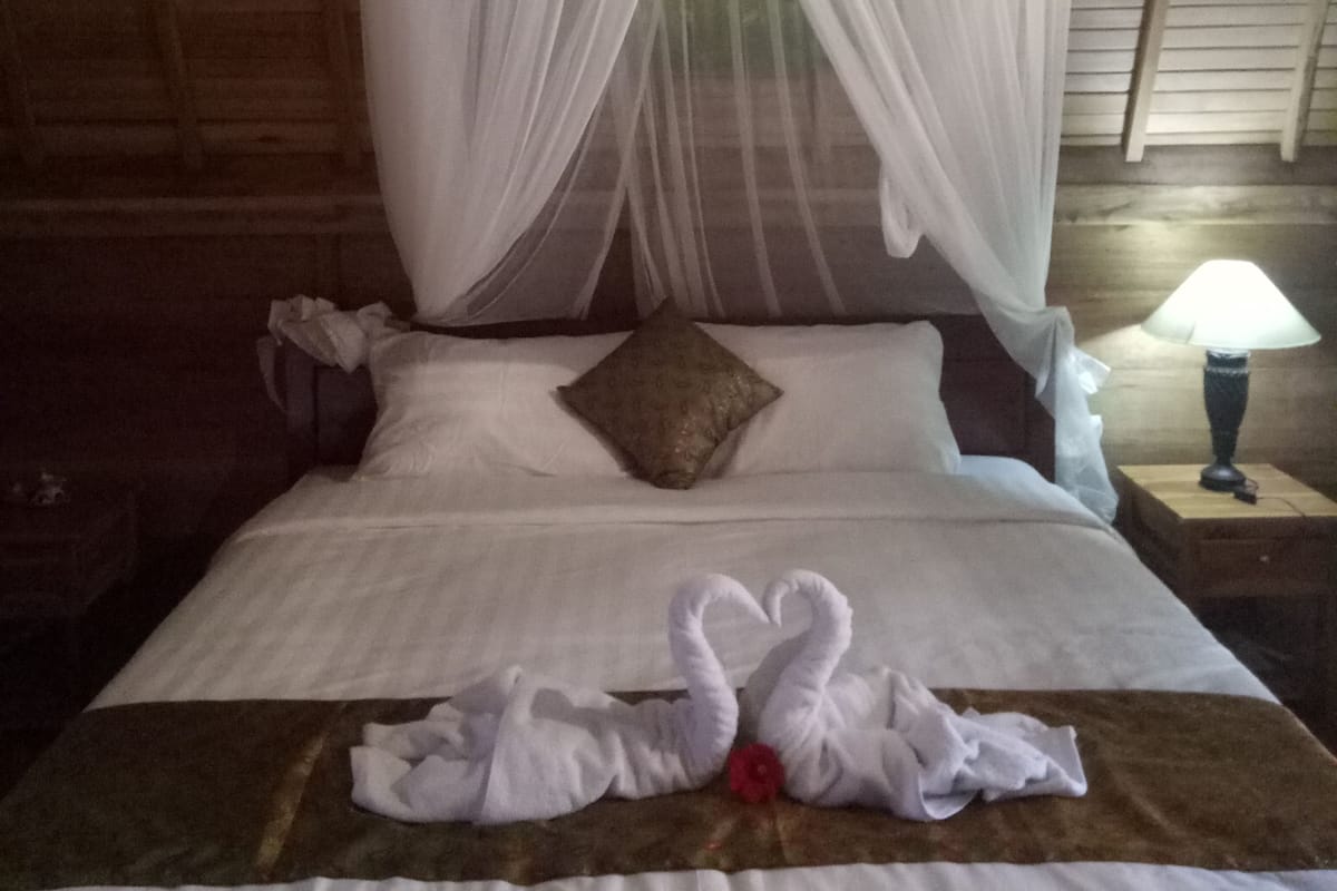 A bed with a canopy, pillows, a bedside table with a lamp, and a red flower on the bed.