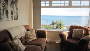 TV connectée, cheminée, lecteur de DVD, livres