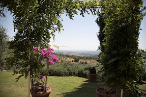 Un jardin agrémenté de plantes en pot, offrant une vue sur un paysage lointain.