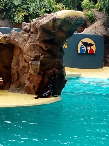 Tenerife north beach San Marcos<br>