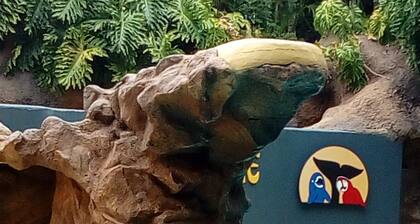 Tenerife north beach San Marcos<br>