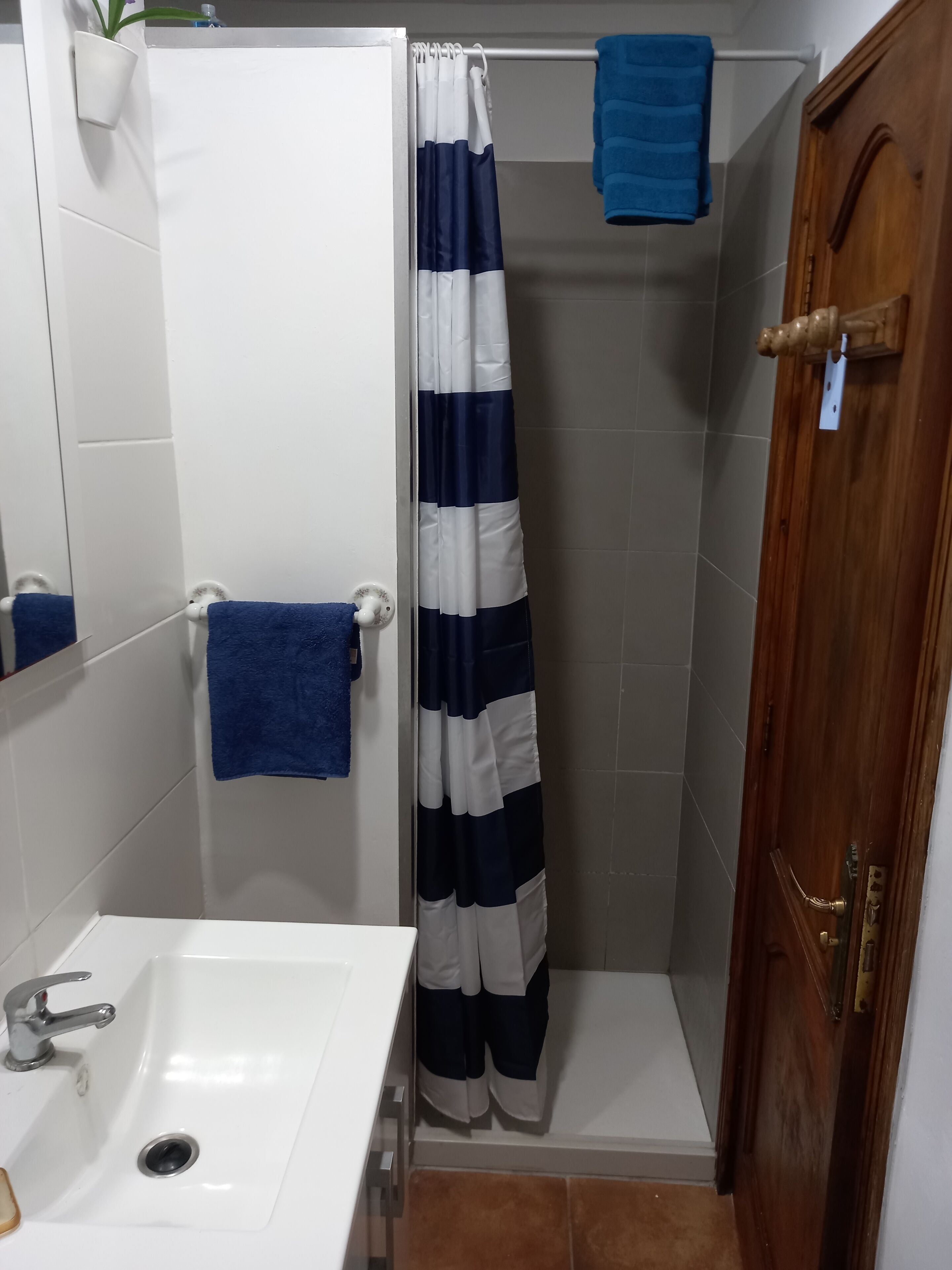 A bathroom with a shower, a sink, and a wooden door.