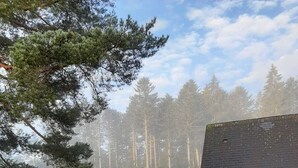 Ein Wohngebiet mit einem Haus, das ein Satteldach und eine sichtbare Garage hat.